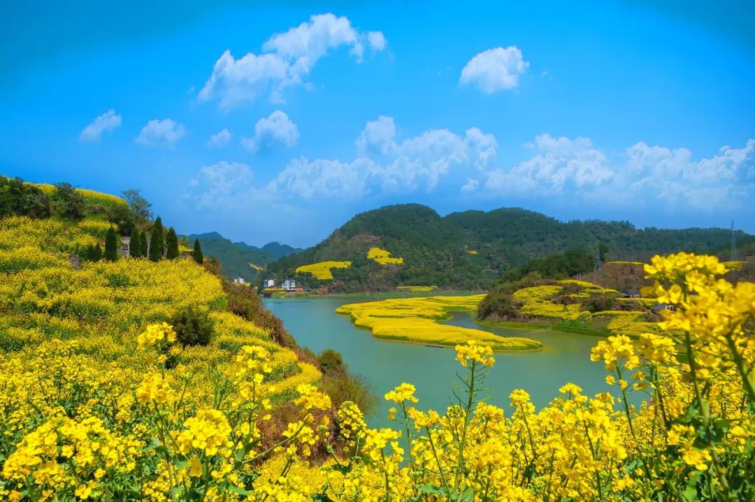 一到春天，就想去安徽