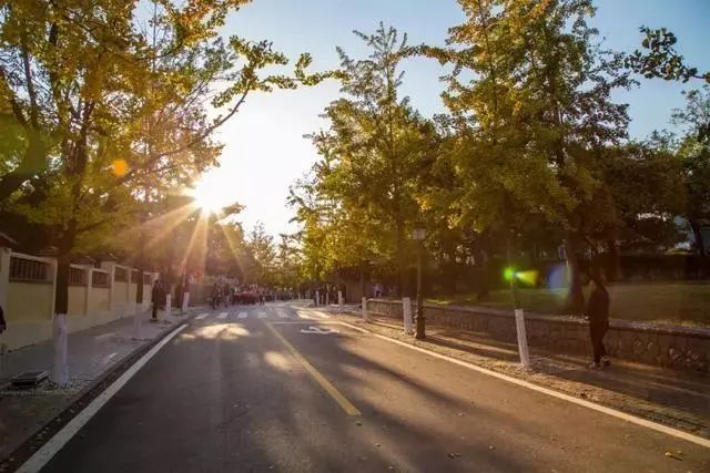 秋天適合一個人旅行的10個地方 旅遊 第4張