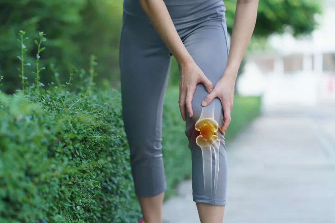 秋季健身的最佳打开方式!安排起来~ 秋季健身的最佳打开方式!安排起来~