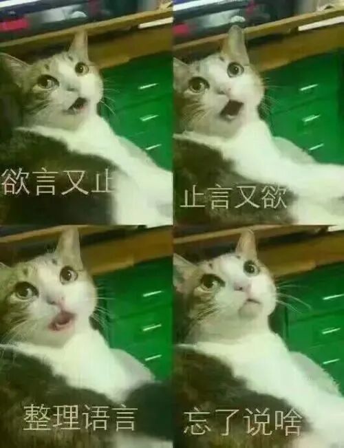 高速公路上也有＂斑马线＂？干啥用的？看完绝对涨知识