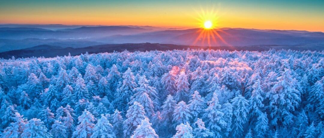 忽然，想去小兴安岭看雪~