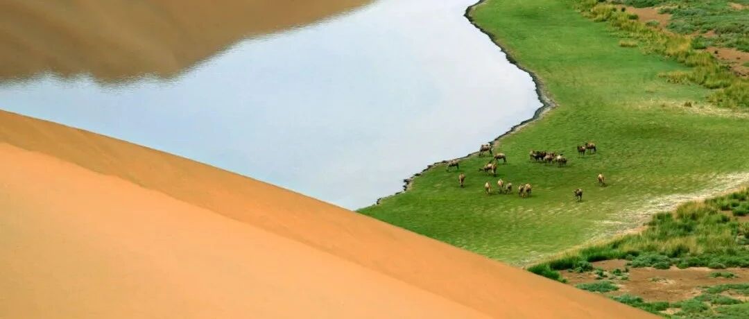 巴丹吉林，凭什么被中国国家地理评为“最美沙漠”？