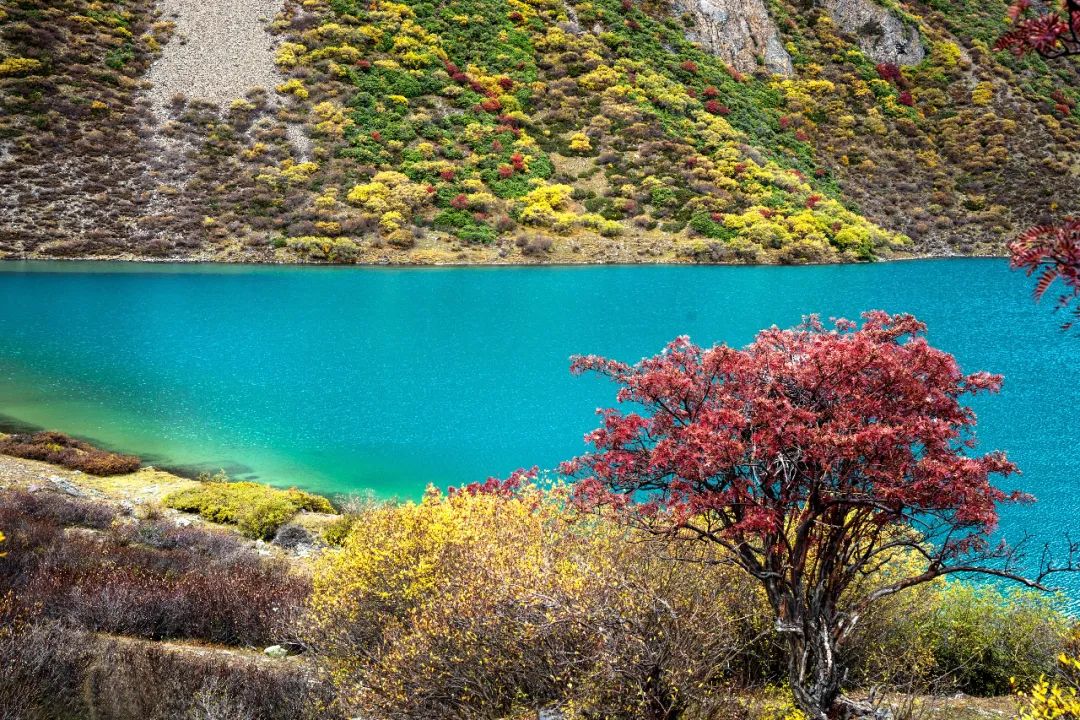 12天，步步驚心，這就是念青東魯易線！ 旅遊 第4張