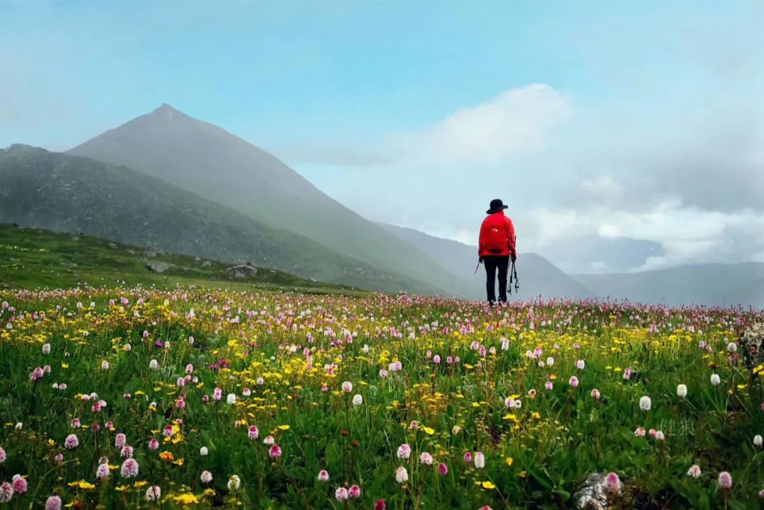 瞻仰神山，行走花海——第一屆格聶徒步大會 旅遊 第24張