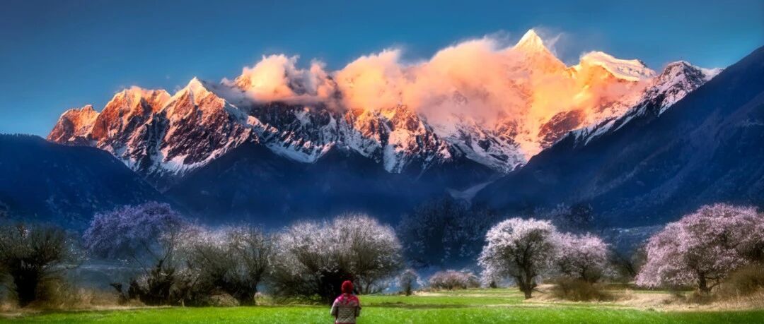 Merrell迈乐 x 徒步中国 | 林芝桃花徒步露营轻奢团，每人送千元以上Merrell徒步鞋！