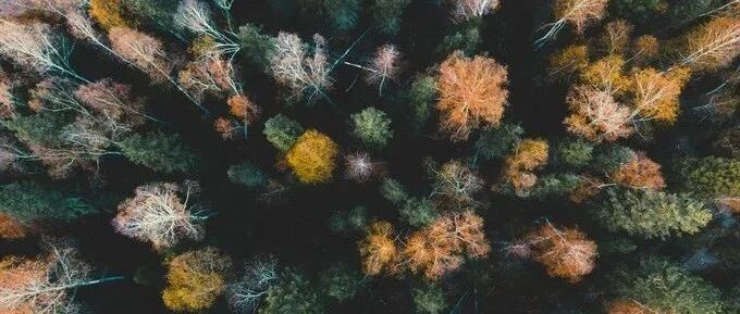 喀纳斯，“过气明星”？