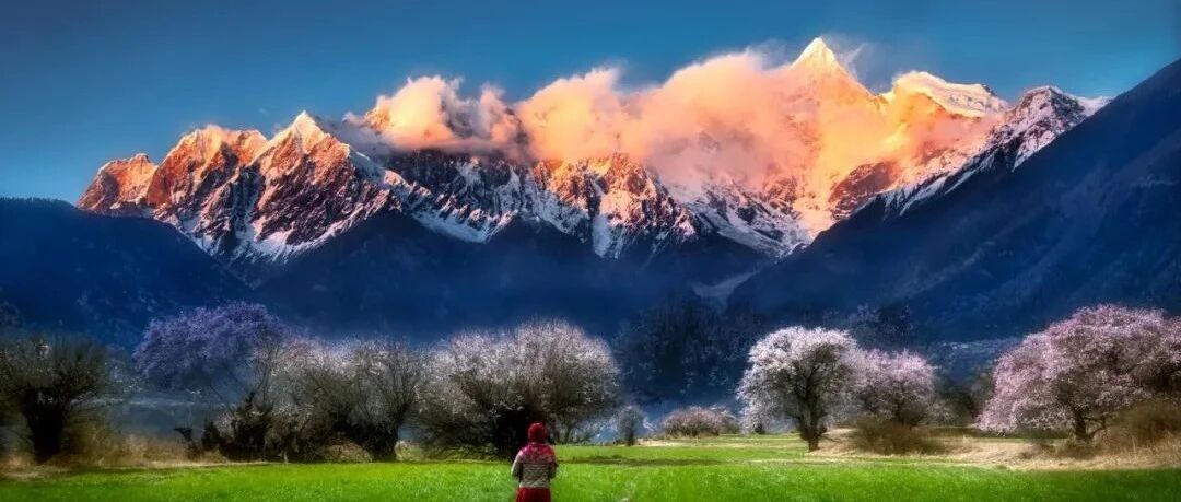 错过林芝，你就错过了中国最美的春天