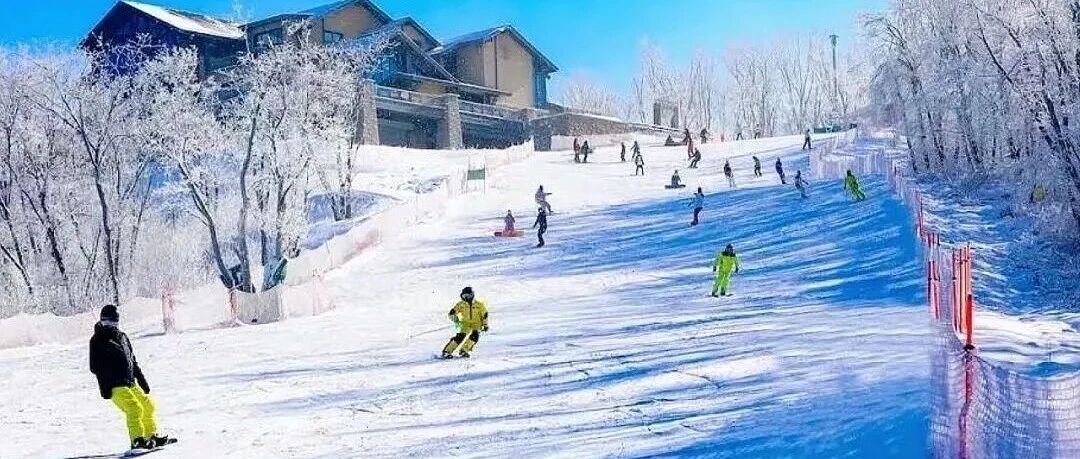 全国最好的滑雪场在哪儿？