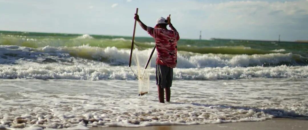 没有游客，当地人都穷得种海草了