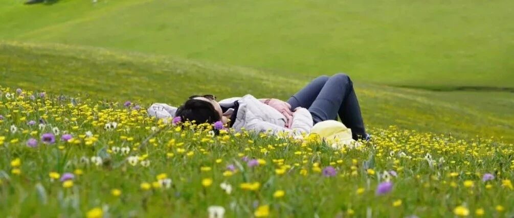 2020 年，欠你我一个新疆