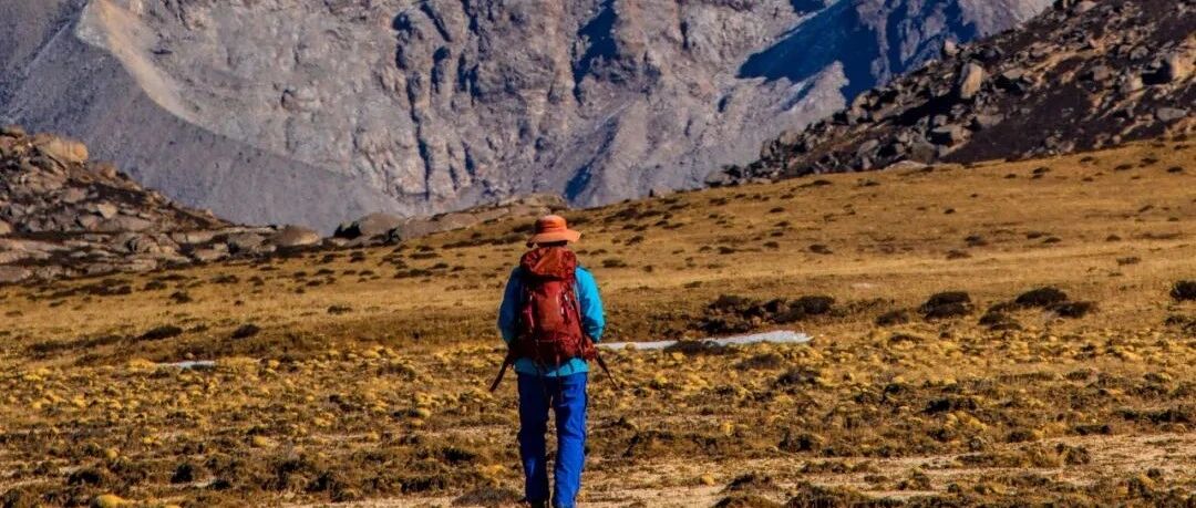 可悲！2021, 我们几乎无山可登, 无路可走！