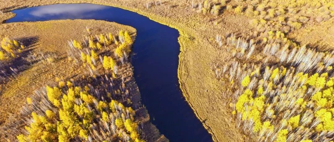 秋天去呼伦贝尔，倾听“燃烧”的秋色！