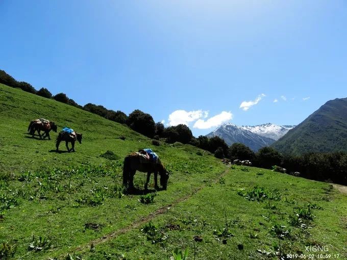 為什麼那麼多人去嘗試四姑娘山三峰連登？ 旅遊 第29張