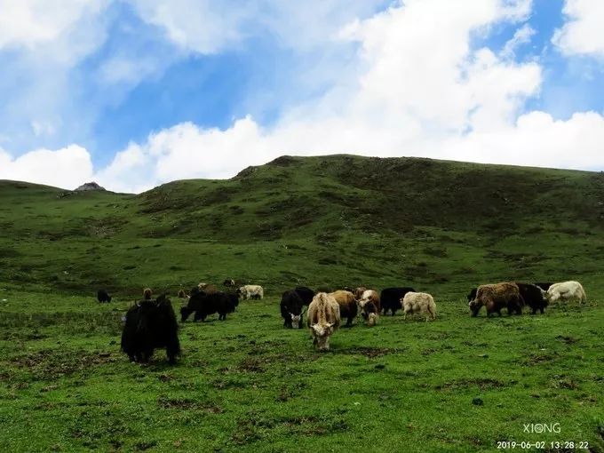 為什麼那麼多人去嘗試四姑娘山三峰連登？ 旅遊 第30張