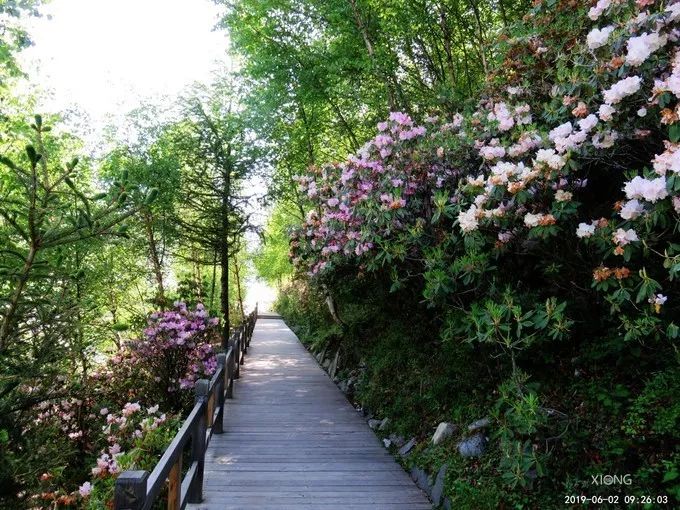 為什麼那麼多人去嘗試四姑娘山三峰連登？ 旅遊 第15張