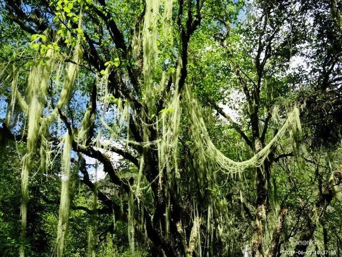 為什麼那麼多人去嘗試四姑娘山三峰連登？ 旅遊 第103張