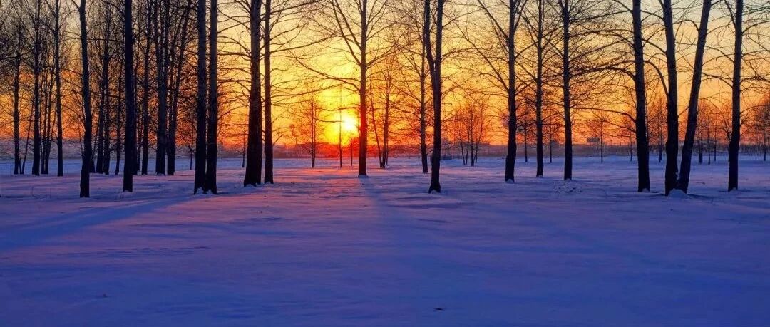 12月去哪儿？是北方玩雪还是南方看海？