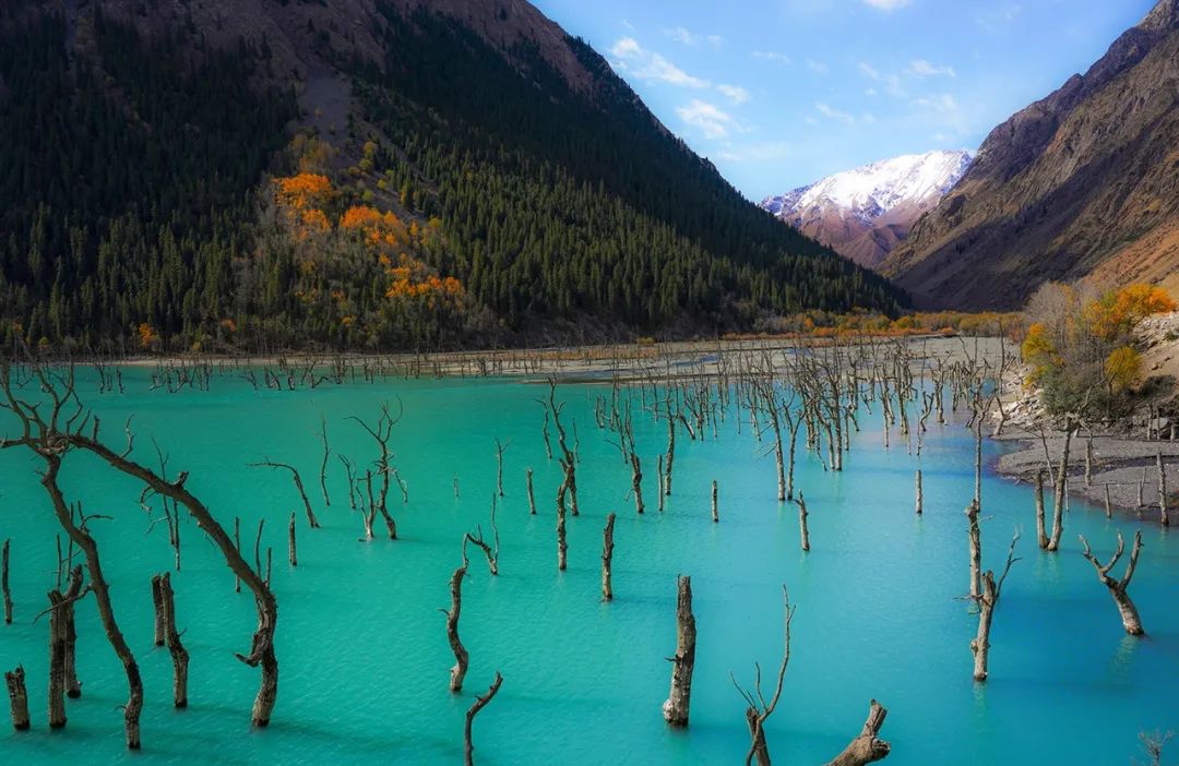 孟克德：除了天湖, 還有那一片驚艷的胡楊林 旅遊 第18張