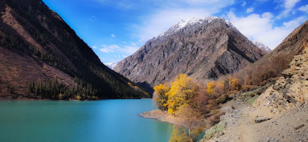 孟克德：除了天湖, 還有那一片驚艷的胡楊林 旅遊 第14張