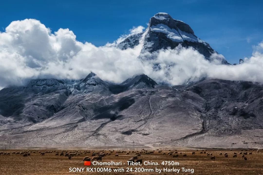 探索：藏在喜馬拉雅山脈以北的西藏 旅遊 第20張