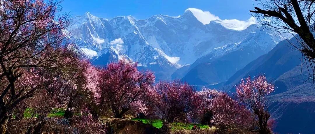 直播 | 春天来了，我们可以去哪儿撒野？