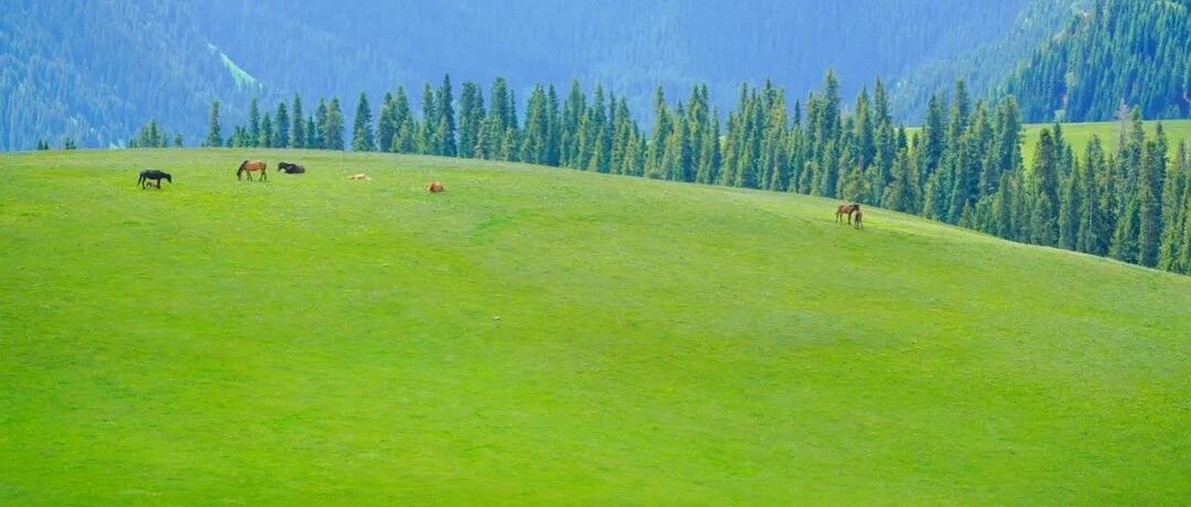 喀拉峻100公里，中国天山最美的徒步摄影路线！