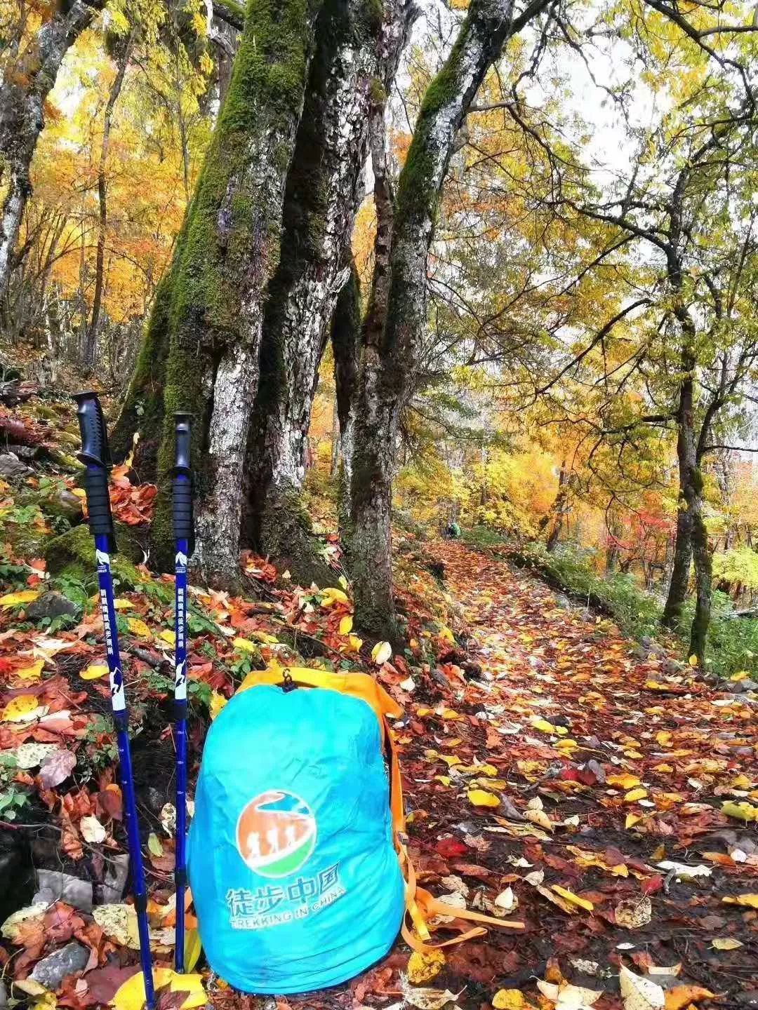 雨崩徒步+哈巴登山，這個國慶節可以既充實又刺激！ 旅遊 第38張