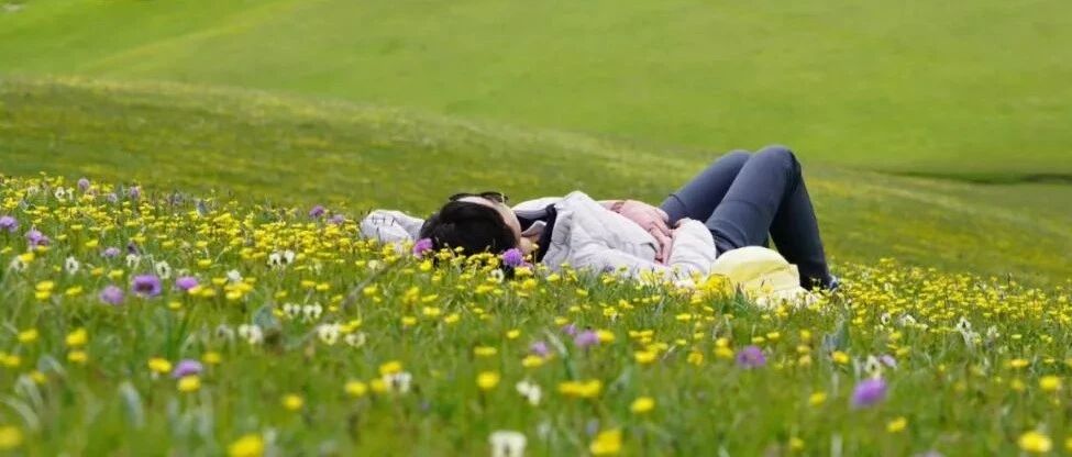 我愿意， 就这么沦陷在新疆的四季诱惑里