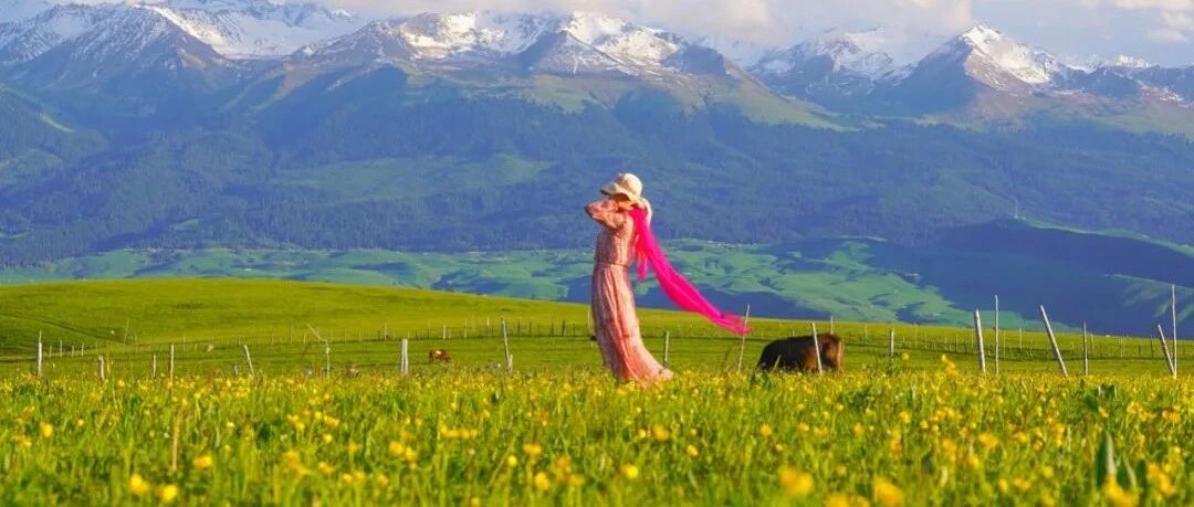 6天，120公里，这才是中国最美的草原徒步路线！