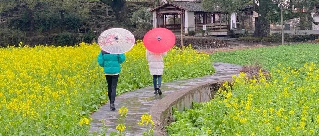 春日踏青，花海寻梦，去徽州追逐诗意的春天