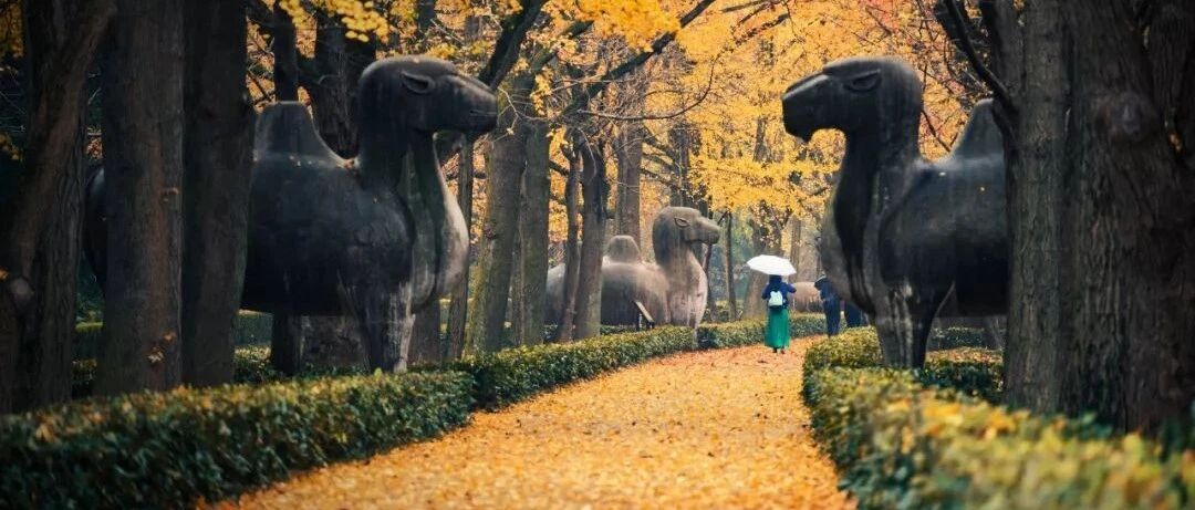 一到秋天，这八座古城就美翻，赶紧去吧！