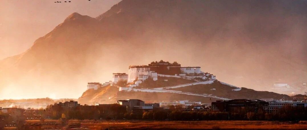 这条天路究竟有何特别之处？让人梦里都飘进了茶香！