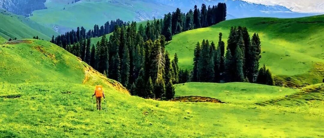 托乎拉苏：没有一个春天不会到来！