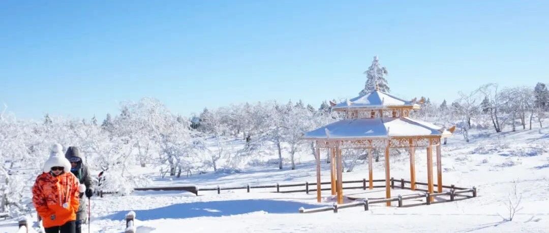 东北林海雪原徒步，怎么样才更好玩？