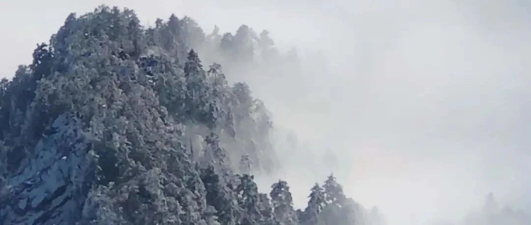 周边线强者，都是天龙八部里的扫地僧