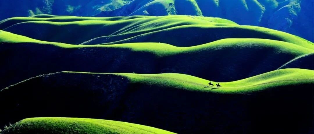 中国最美的草原林海在哪里？