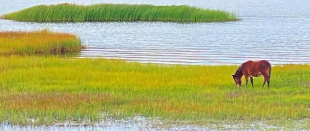 中国第一个国家公园，90% 的人都不知道！