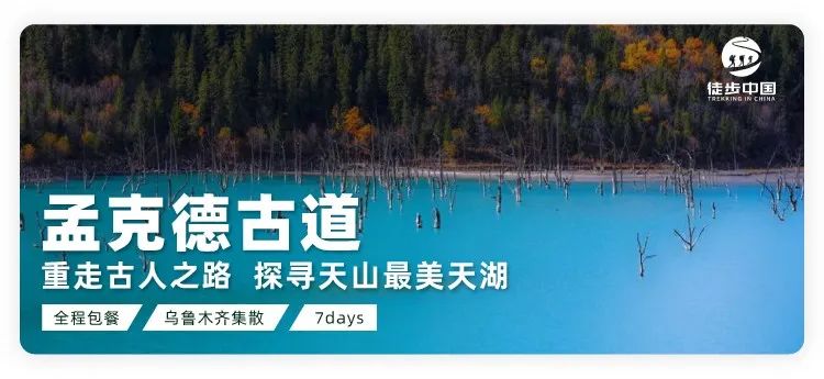 孟克德：除了天湖, 還有那一片驚艷的胡楊林 旅遊 第42張