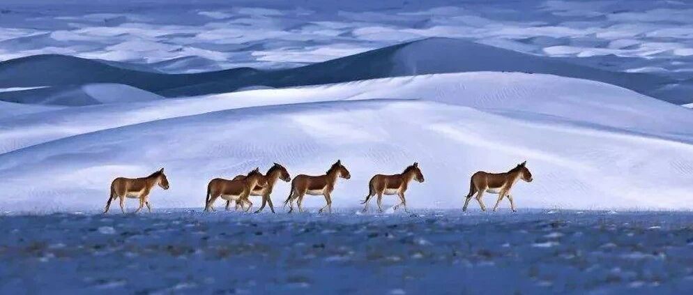 别浪费了5天假期，\