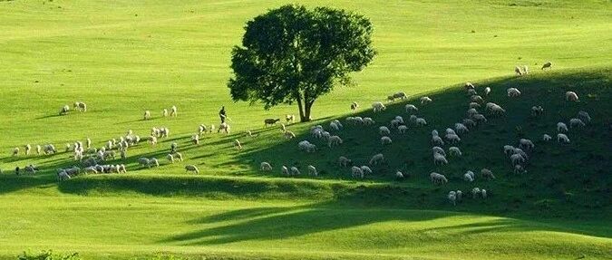 乌兰布统之夏，花式解锁昔日皇家大草原