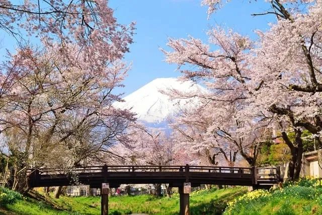 潘瑋柏官宣結婚！和家人在富士山的合影看起來超幸福~ 旅遊 第16張