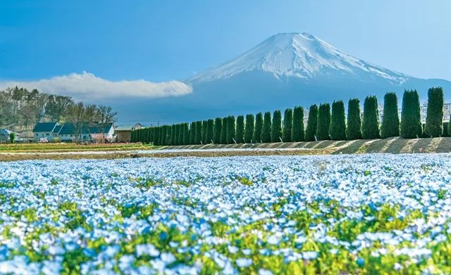 潘瑋柏官宣結婚！和家人在富士山的合影看起來超幸福~ 旅遊 第18張