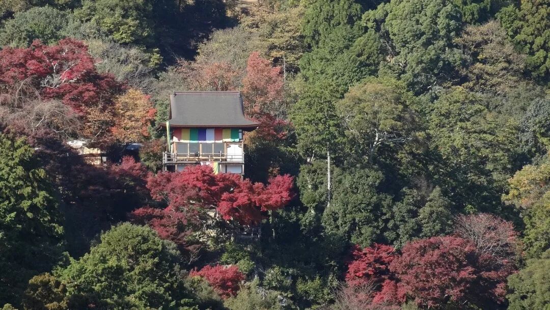 深度丨这些关西小众美景 你肯定没听过 内行人才知道的9大必访关西秘境 旅游 中国国内旅游业界信息动态 微信头条新闻公众号文章收集网