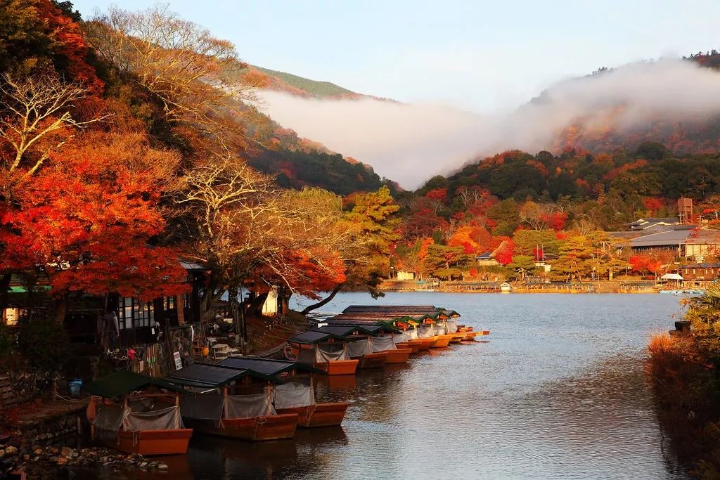 冬天京都的最佳打开方式 19岚山花灯路 这些玩法绝对惊艳你 日本旅行攻略 微信公众号文章阅读 Wemp