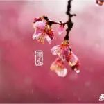 雨水将至，牢记“1要回，2要寄，3要接，4要吃”，安康顺利过春天！
