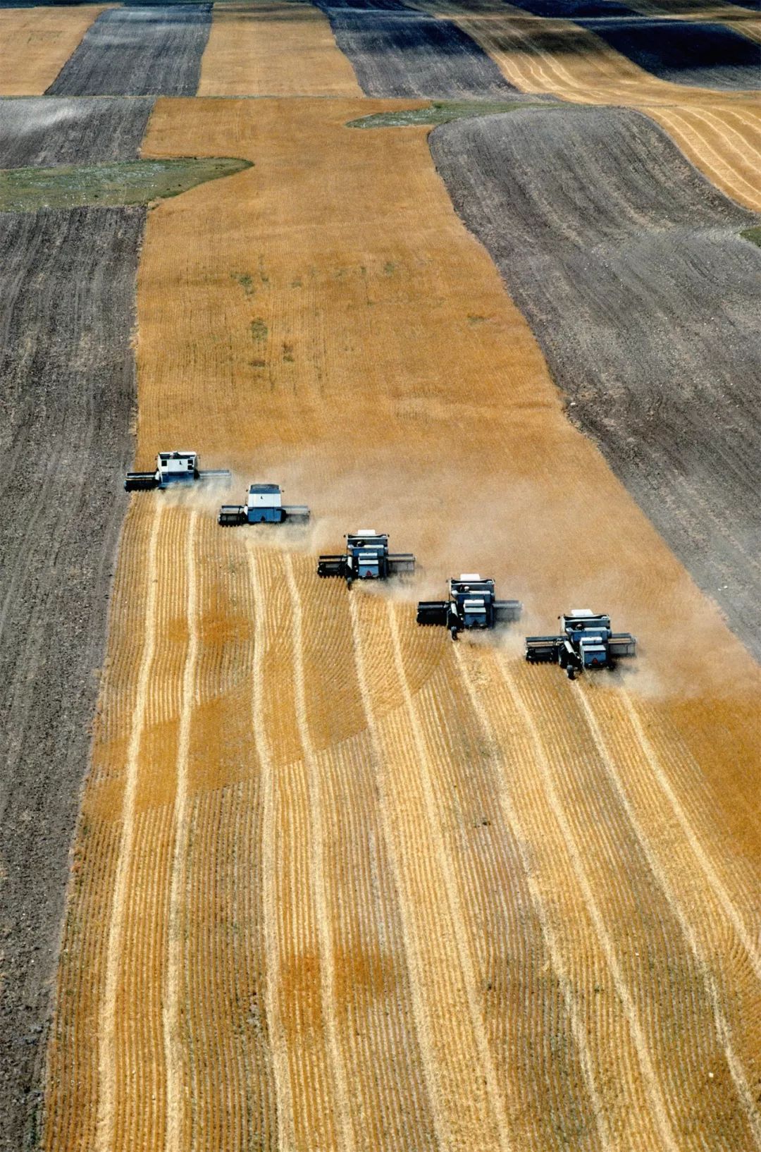 An image to describe post