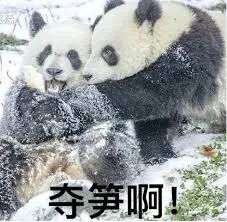 澳洲最烂地区选举！堪培拉还要推选一区参赛...来看看犀利吐槽 - 6