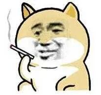 澳洲最烂地区选举！堪培拉还要推选一区参赛...来看看犀利吐槽 - 1