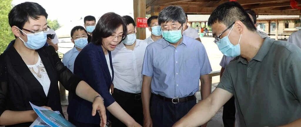 王兆力调研河湖“清四乱”及滨江湿地景区旅游开发情况时强调：强化红线意识坚决推进河湖“清四乱” 在岸岛水上“做文章”做精做细湿地游