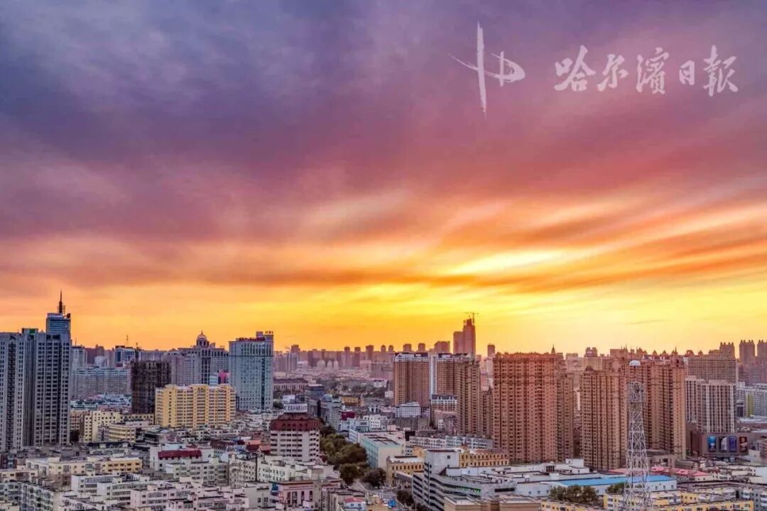 新发展理念是_五大发展理念新_与电子政务发展相协调的政府理念是